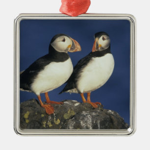 Ornement Métallique Puffin de l'Atlantique
