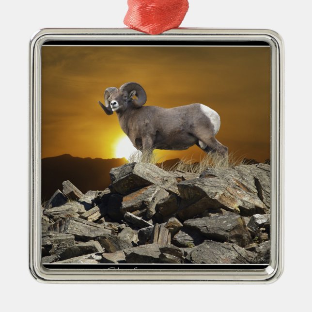 Ornement Métallique Rocky Mountain Wild Big Horn Sheep & Sunset (Devant)