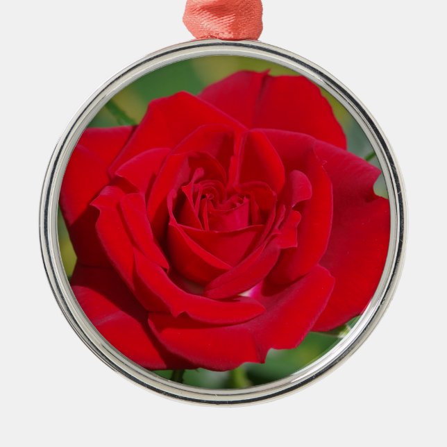 Ornement Métallique Rose rouge beauté (Devant)