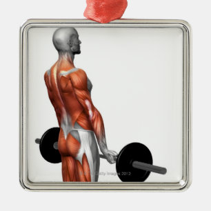Ornement Métallique Roumain Deadlift
