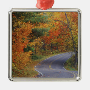 Ornement Métallique Route des arbres d'automne dans le Parc d'état d'