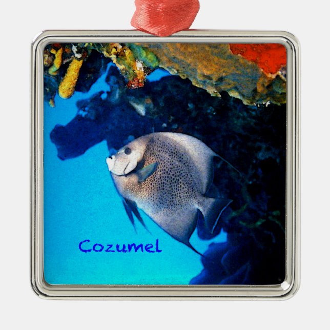 Ornement Métallique Scalaire gris (Devant)