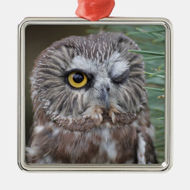 Ornement Métallique Scie-affûtez le hibou (Devant)