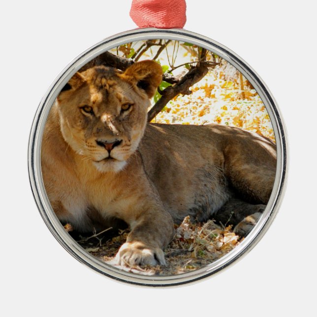 Ornement Métallique Siesta Time (Devant)