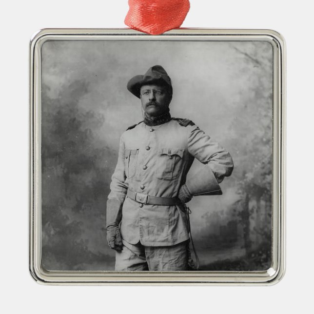 Ornement Métallique Theodore Roosevelt (Devant)
