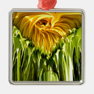 Ornement Métallique Tournesol rétro funky abstrait, géométrie effrayée