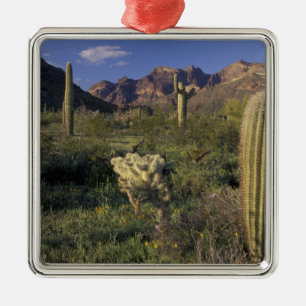 Ornement Métallique U.S.A., Arizona, Organ Pipe National Monument.