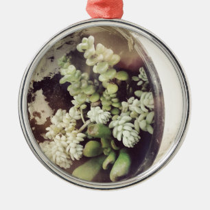 Ornement Métallique Une tasse remplie de plantes succulents