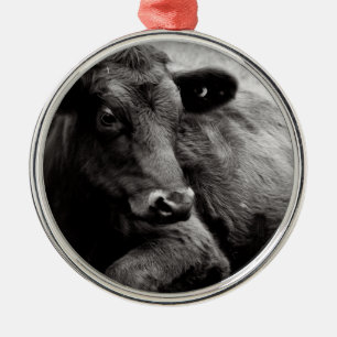 Ornement Métallique Vache de boucherie noire d'Angus