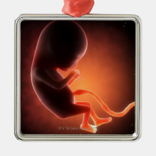 Ornement Métallique Vieux foetus de deux mois