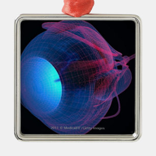 Ornement Métallique Wireframe des muscles de l'oeil