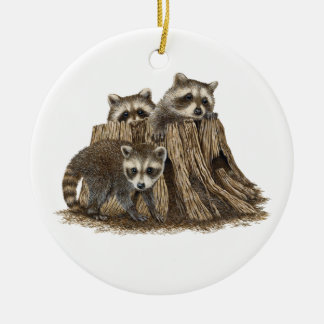 Ornement mignon Baby Raccoons