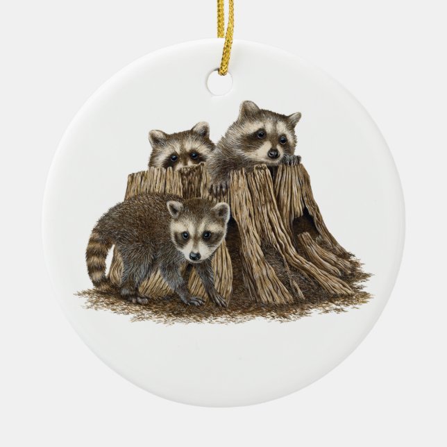 Ornement mignon Baby Raccoons (Devant)