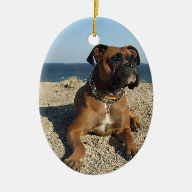 Ornement mignon de chien de boxeur (Devant)