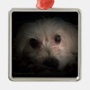 Ornement mignon de délivrance de chiot de chien de