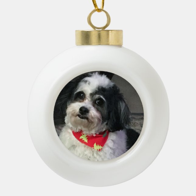 Ornement mignon de Noël de chien, écharpe de Noël (Devant)