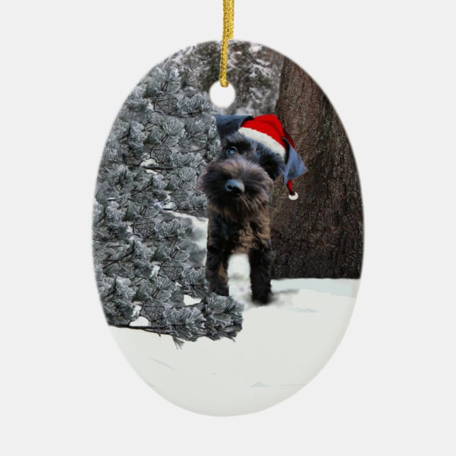 Ornement mignon de Noël de Schnauzer miniature (Devant)