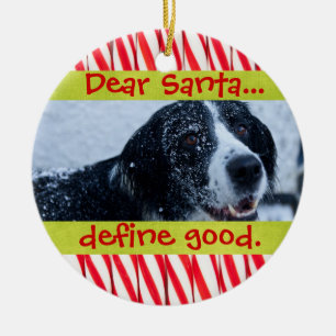 Ornement mignon de photo de Noël d'animal familier