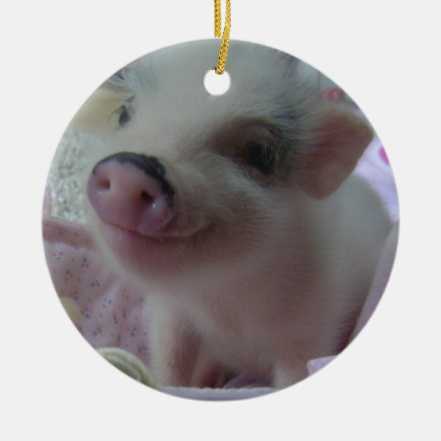 Ornement mignon de porcelet (Devant)