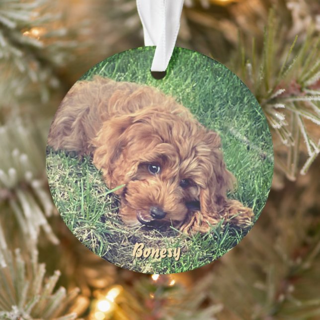 Ornement mignon Golden Doodle (Arbre)