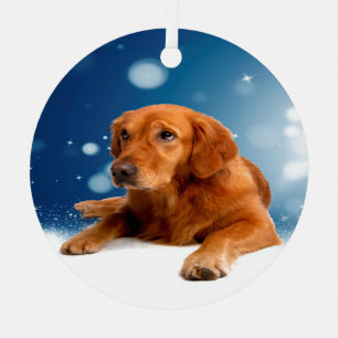 Ornement Mignonne Golden Retriever Chien assis dans les éto
