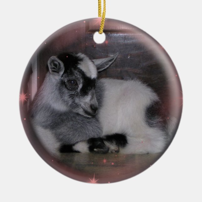 ORNEMENT NAIN NIGÉRIEN DE CHÈVRE DE BÉBÉ (Devant)