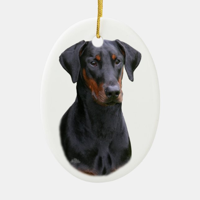 Ornement naturel d'oreilles de Pinscher noir de (Devant)