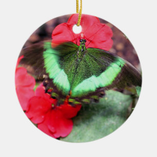 Ornement naturel papillon vert