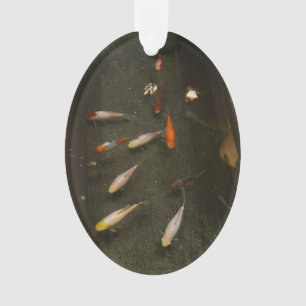 Ornement Nishikigoi (Poisson Koi)