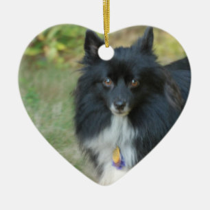 Ornement noir de chien de Pomeranian