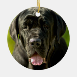 Ornement noir de mastiff