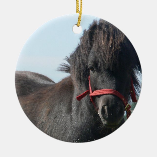 Ornement noir de poney (Devant)