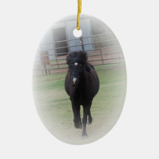 Ornement noir de poney de gallois