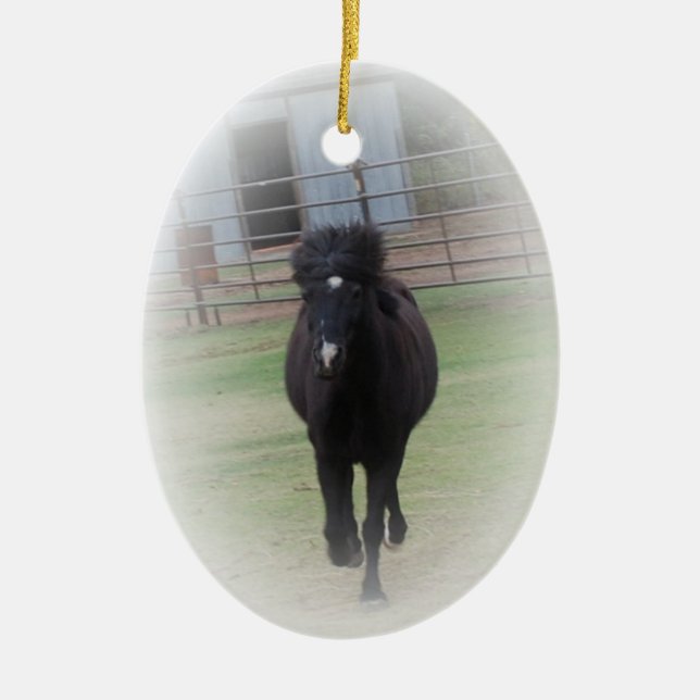 Ornement noir de poney de gallois (Devant)