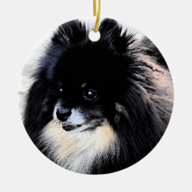 Ornement noir et bronzage de Pomeranian (Devant)