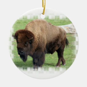 Ornement nord-américain de bison