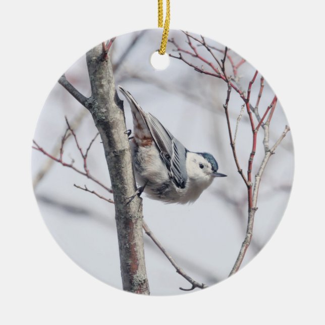 Ornement Nuthatch à poitrine blanche (Devant)