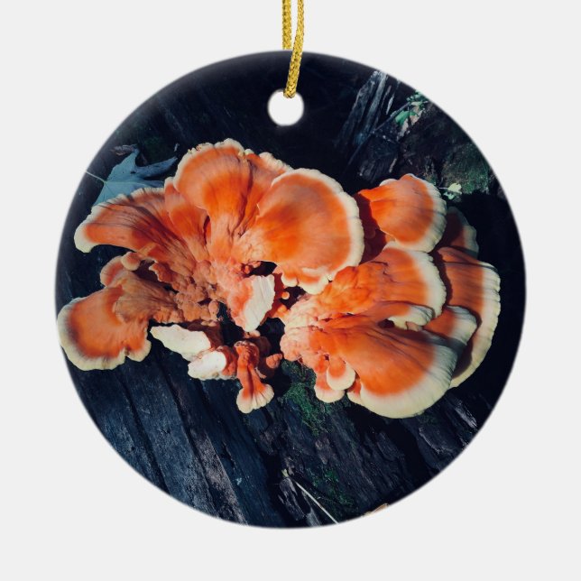 Ornement orange de cercle de champignon (Devant)