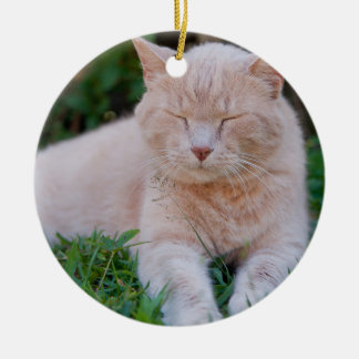 Ornement orange de chat
