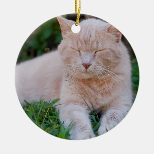 Ornement orange de chat (Devant)
