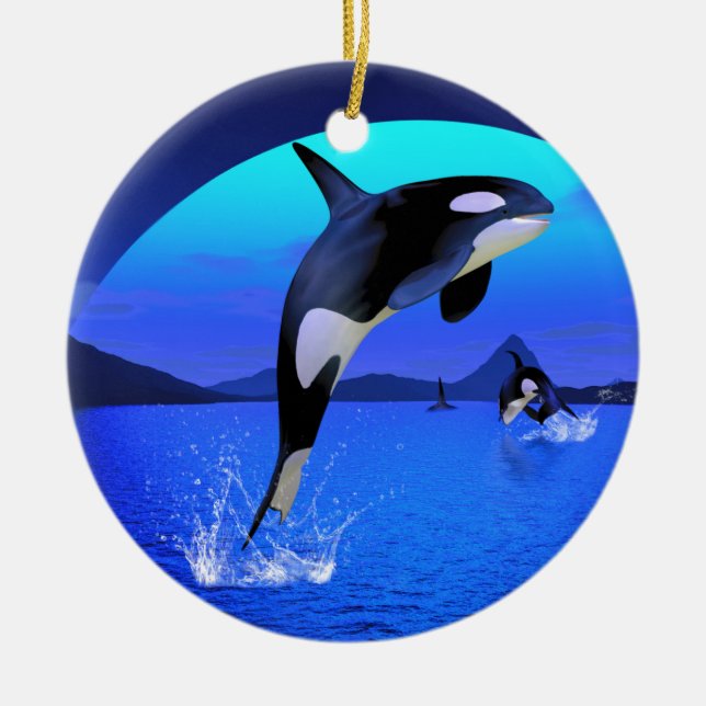 Ornement Orca (Devant)
