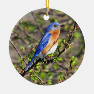 Ornement oriental d'oiseau bleu