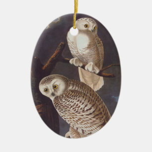 Ornement ovale de Noël de hibou de Snowy White