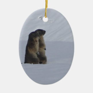 Ornement Ovale En Céramique animaux marmottes sauvage