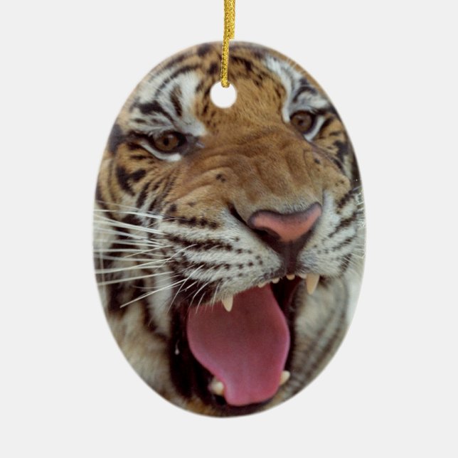 Ornement Ovale En Céramique Année d'ornement de tigre (Devant)