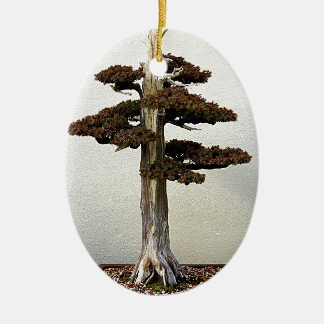 Ornement Ovale En Céramique Arbre chinois de bonsaïs de genévrier (Devant)