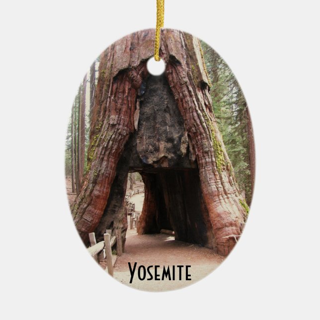 Ornement Ovale En Céramique Arbre Yosemite de tunnel (Devant)