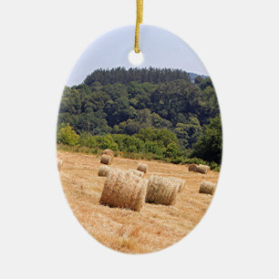 Ornement Ovale En Céramique Balles de foin le long d'EL Camino, Espagne