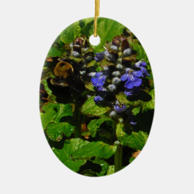 Ornement Ovale En Céramique Baume d'abeille pourpre et bourdon (Devant)
