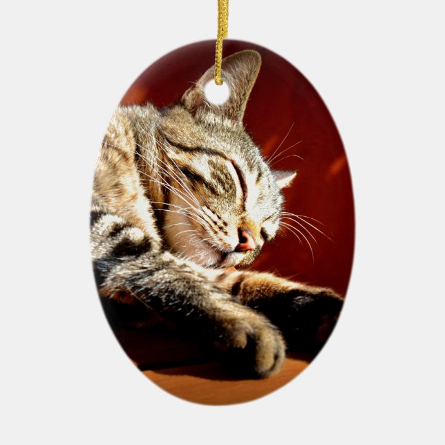 Ornement Ovale En Céramique Beau chat tigré (Devant)